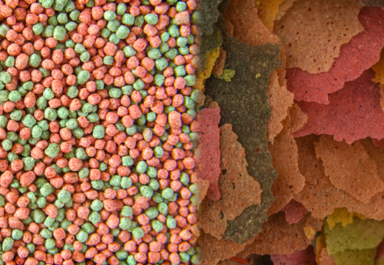 "pelleted fish food in different colors"